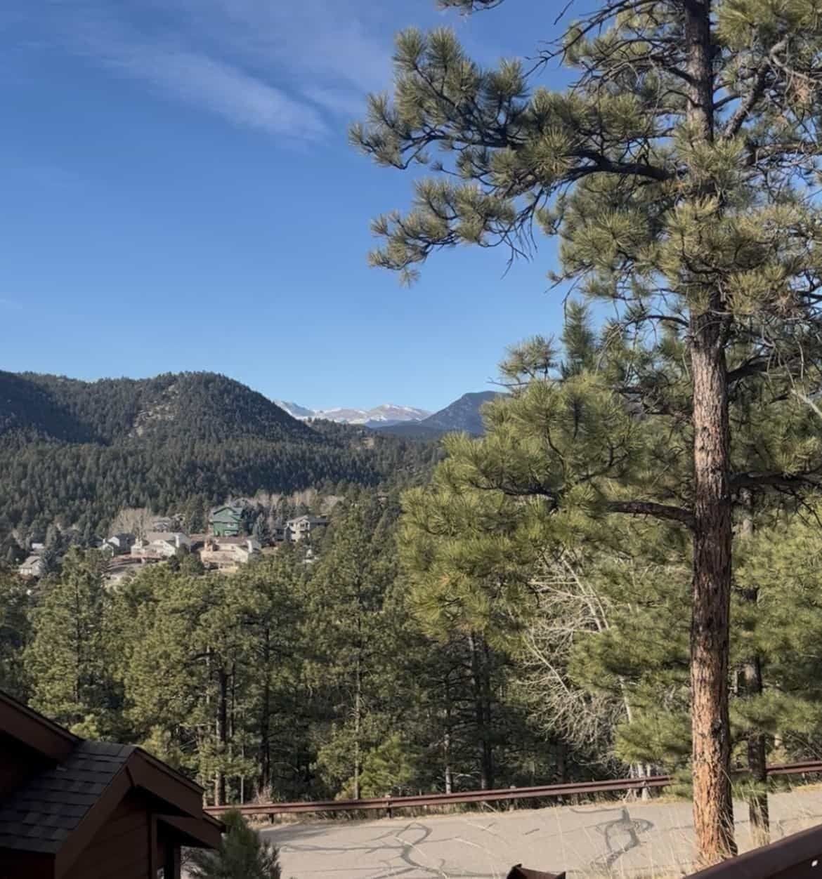 View of Kittredge homes nestled into pine forest with snow-capped peaks beyond.