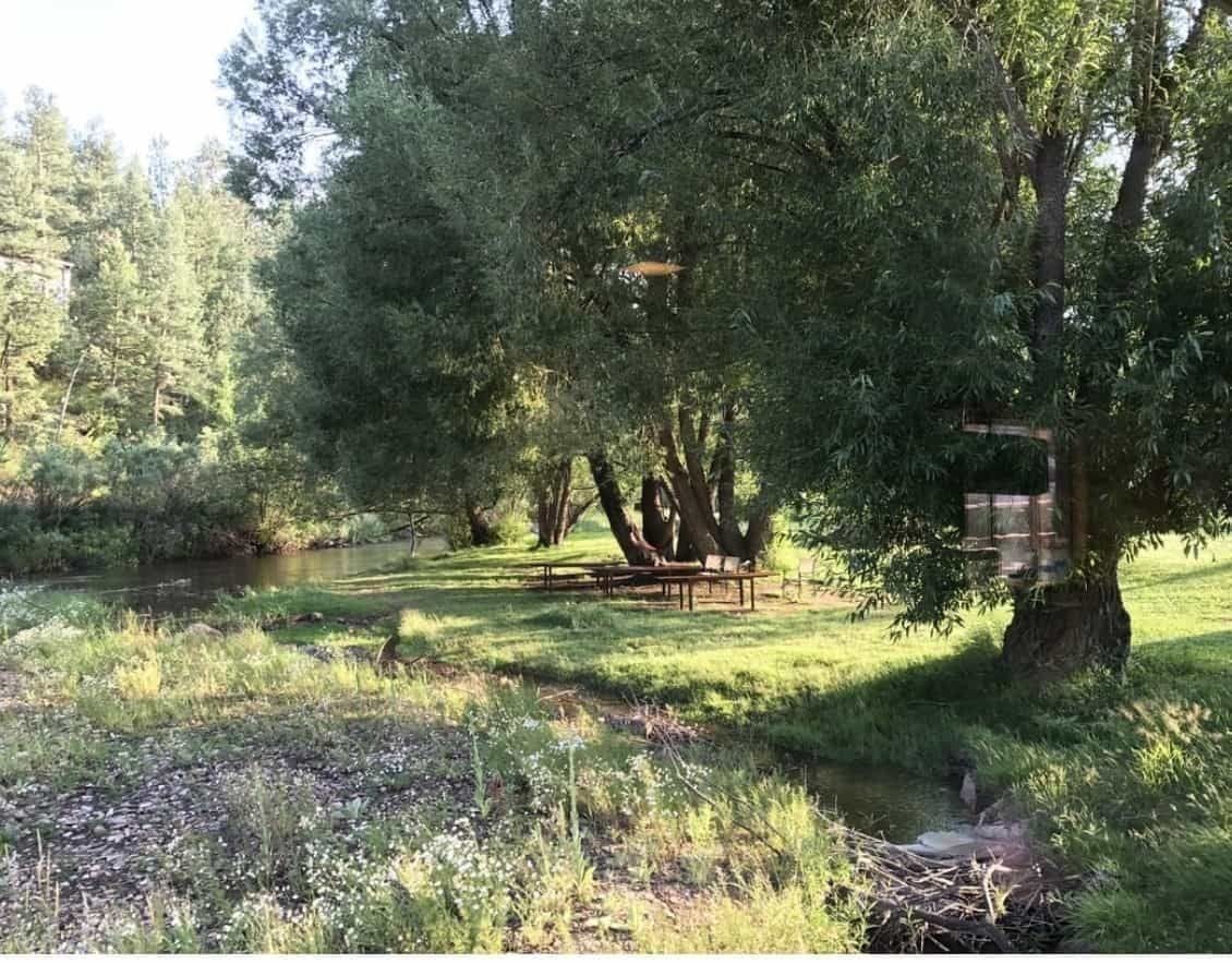 A picnic bench tucked under a willow at Kittredge Park, with Bear Creek tumbling past in the foreground and pines rising on the far bank.